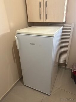 Chladnička s mrazničkou