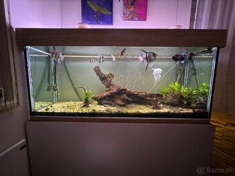 Akvárium 450l komplet