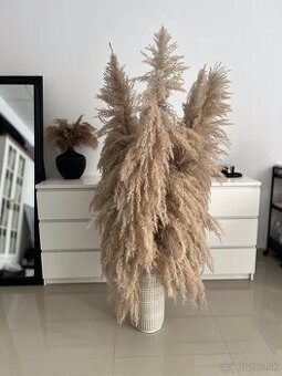 DEKORÁCIA DO INTERIÉRU - XXL exkluzívna pampová tráva