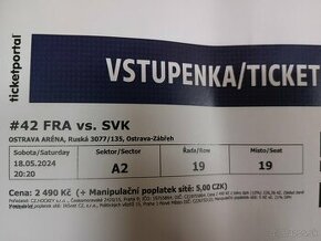 Slovensko-Francuzko MS v Hokeji
