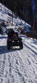 Polaris sportsman 800