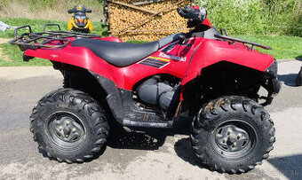 Kawasaki Brute Force 750