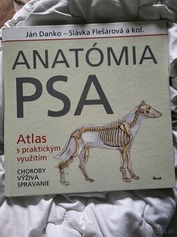 Anatomia psa