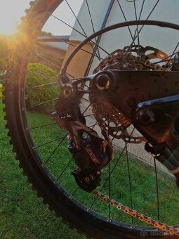 Kellys noid 70