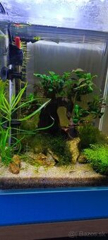 Akvarium 25x25x30cm s prislusenstvom