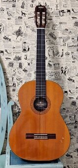 Akusticka Gitara - Boeing Guitar C-120 / hraná gytara