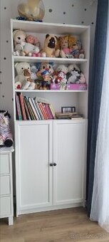 Ikea Billy