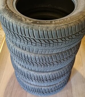 Hankook Winter Evo 3 225/60 R17