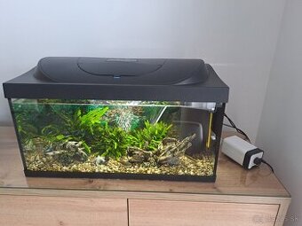 Akvarium