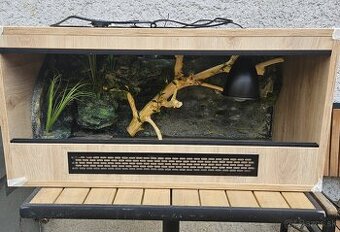 Trárium 80x40x40 Gekončíķ nočný