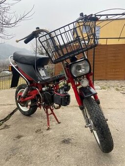 Stella 134