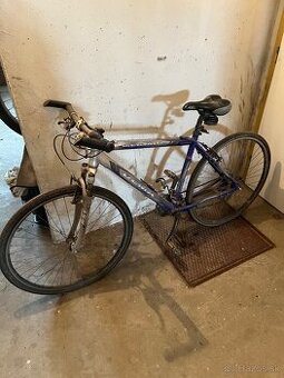 Bicykel DEMA MERANO