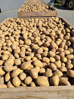 Zemiaky 0,34€/kg, Tn, Il,Pu, PB, By, KNM, Ca.