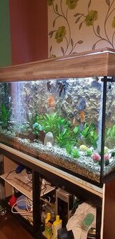 Akváriu 500l sklo 2cm