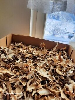 Sušené hríby LACNO