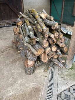 Predám čerstvé orechové drevo