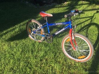 Bicykel Author energy 20l