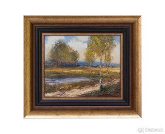 Vladimír Plachý - Břízky u rybníčku