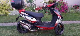CPI ARAGON PAADOCK