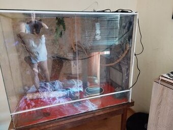 Redam terarium - 1