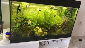 Aquarium Juwel