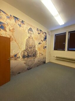 Komerčný priestor na prenájom – Panónska cesta, Petržalka (k