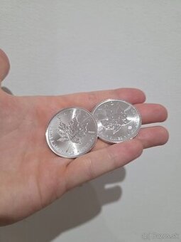 Posledné 2 kusy: Strieborné mince Maple Leaf 1 oz + Tehlička