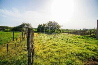 Na predaj záhrada, Svätý Peter, 1306 m2 – ideálna na...