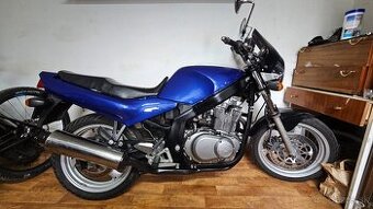 suzuki gs500
