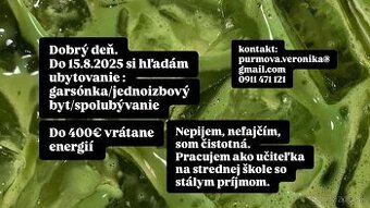Hľadám prenájom garsónky alebo spolubývanie