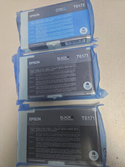 Epson T6171