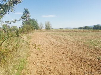 Stavebný pozemok Tesárske Mlyňany