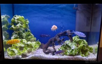 Akvárium Juwel s príslušenstvom