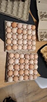 Predám vajíčka