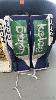 br.set CCM EFlex6 custom
