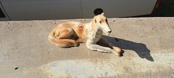 Soška pes, chrt, RD