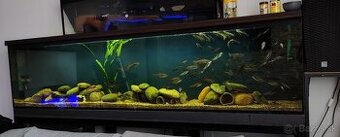 velke akvarium 380L
