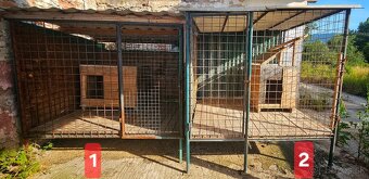 Voliera pre psov