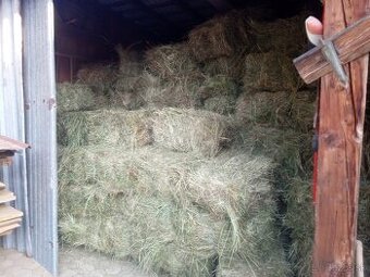 Predám Horské seno v malých balíkoch cena za balík 3,50-eur.