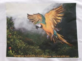 Nové tričko s papagákom ara ararauna. - 1