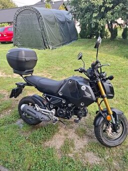 Honda grom 125