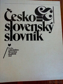 Česko slovenský slovnik - 1