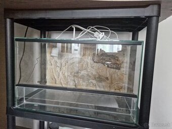 Predam terarium