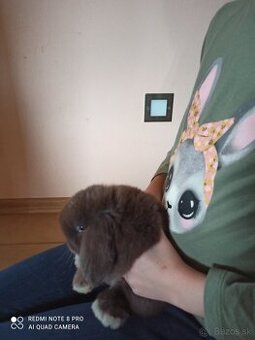 Minilopko