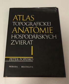 Atlas topografickej anatómie hodpodárskych zvierat
