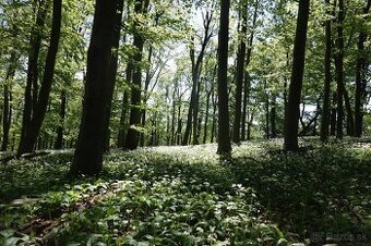 Hladáme pilčíka - traktoristu