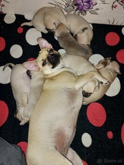 mops