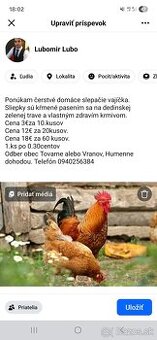 Predám domacie čerstvé vajicka