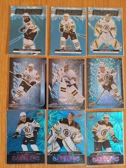Hokejove karty,kartičky Boston Bruins - dazzlers
