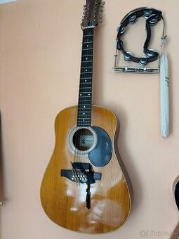 11 strunová gitara